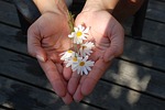 شنوندۀ گرامی، هر انسان میل و آرزو دارد تا با دل و جان خدای پرجلال را ستایش و پرستش کند.
آرزوی دل، برنامۀ است که در آن کلام مقدس خدا خوانده میشود و در مورد اهمیت روحانی آن گپ زده میشود. امیدواریم با گوش دادن به این برنامه ها، خدای حقیقی را بشناسید. در ضمن در این برنامه شما میتوانید به شهادت زندگی بعضی از برادران و و خواهران ما هم گوش فرا دهید.
شما میتوانید از طریق شماره تیلفون ۰۰۱.۴۵۰.۳۰۵.۱۳۵۴ همراۀ ما به تماس شوید.